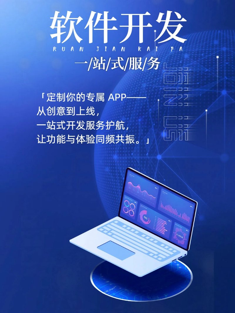定制软件开发商